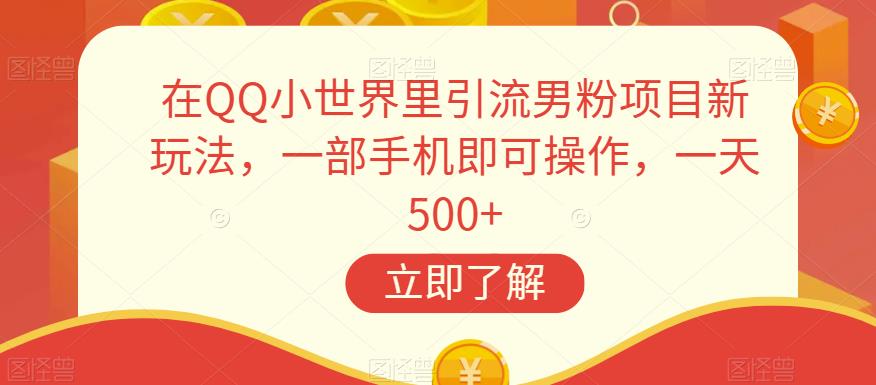 在QQ小世界里引流男粉项目新玩法，一部手机即可操作，一天500+【揭秘】-天天项目库