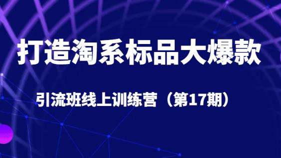 打造淘系标品大爆款引流班线上训练营（第17期）5天直播授课-天天项目库