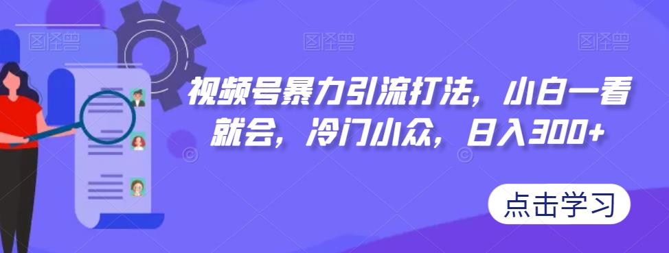 视频号暴力引流打法，小白一看就会，冷门小众，日入300+【揭秘】-天天项目库