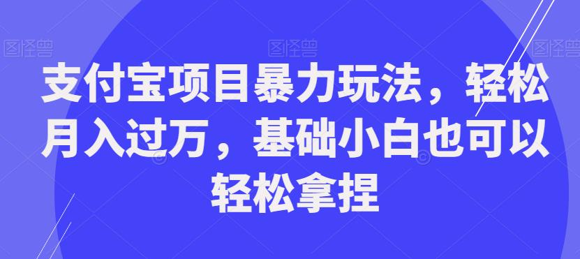 支付宝项目暴力玩法，轻松月入过万，基础小白也可以轻松拿捏【揭秘】-天天项目库