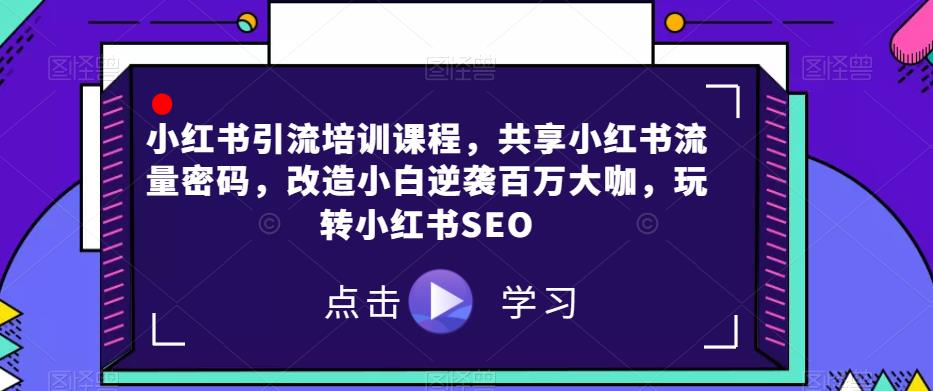 小红书引流培训课程，共享小红书流量密码，改造小白逆袭百万大咖，玩转小红书SEO-天天项目库