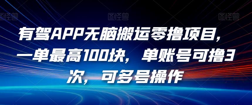 有驾APP无脑搬运零撸项目，一单最高100块，单账号可撸3次，可多号操作【揭秘】-天天项目库