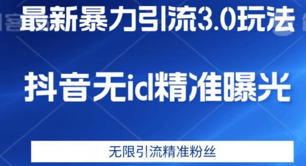 最新暴力引流3.0版本，抖音无id暴力引流各行业精准用户-天天项目库