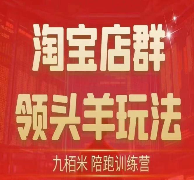 九栢米-淘宝店群领头羊玩法，教你整个淘宝店群领头羊玩法以及精细化/终极蓝海/尾销等内容-天天项目库