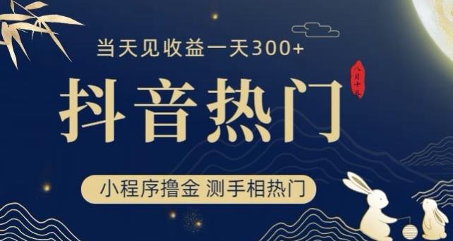 抖音最新小程序撸金，测手相上热门，当天见收益一小时变现300+【揭秘】-天天项目库