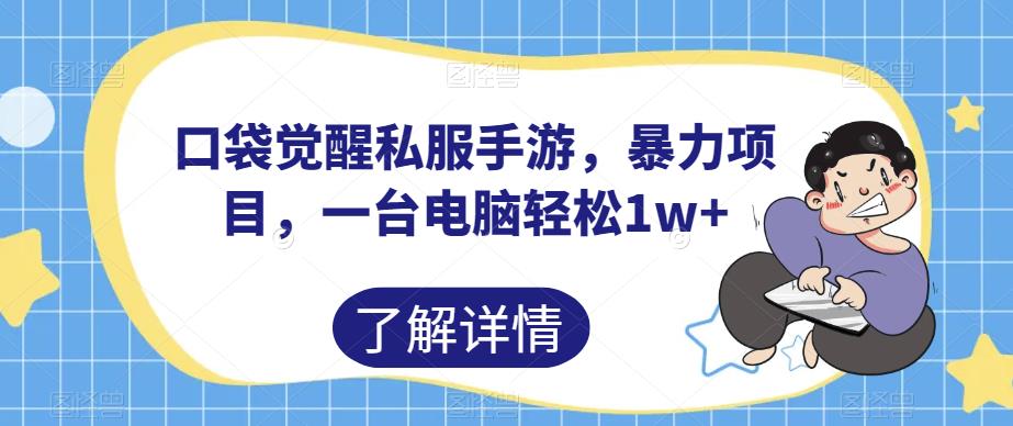 口袋觉醒私服手游，暴力项目，一台电脑轻松1w+【揭秘】-天天项目库