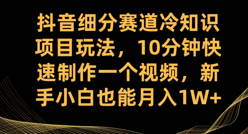 抖音细分赛道冷知识项目玩法，10分钟快速制作一个视频，新手小白也能月入1W+【揭秘】-天天项目库