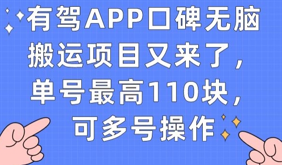 有驾APP口碑无脑搬运项目又来了，单号最高110块，可多号操作-天天项目库