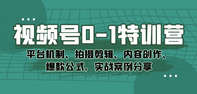 视频号0-1特训营：平台机制、拍摄剪辑、内容创作、爆款公式，实战案例分享-天天项目库