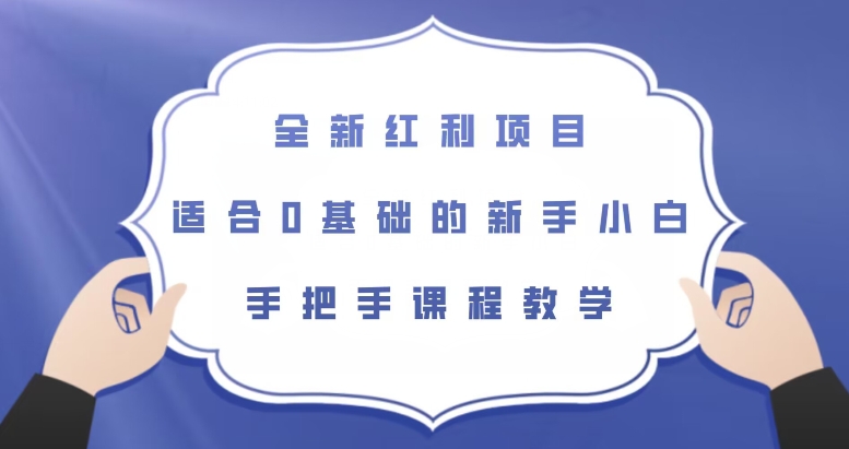 全新红利项目，适合0基础的新手小白，手把手课程教学【揭秘】-天天项目库