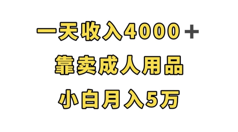 一天收入4000+，靠卖成人用品，小白轻松月入5万【揭秘】-天天项目库