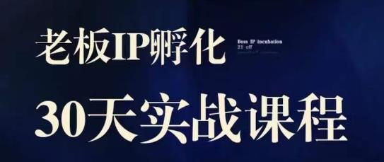 诸葛·2023老板IP实战课，实体同城引流获客，IP孵化必听-天天项目库