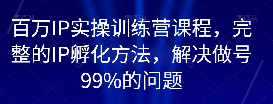 百万IP实操训练营课程，完整的IP孵化方法，解决做号99%的问题-天天项目库