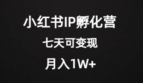 价值2000+的小红书IP孵化营项目，超级大蓝海，七天即可开始变现，稳定月入1W+-天天项目库