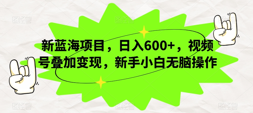 新蓝海项目，日入600+，视频号叠加变现，新手小白无脑操作【揭秘】-天天项目库