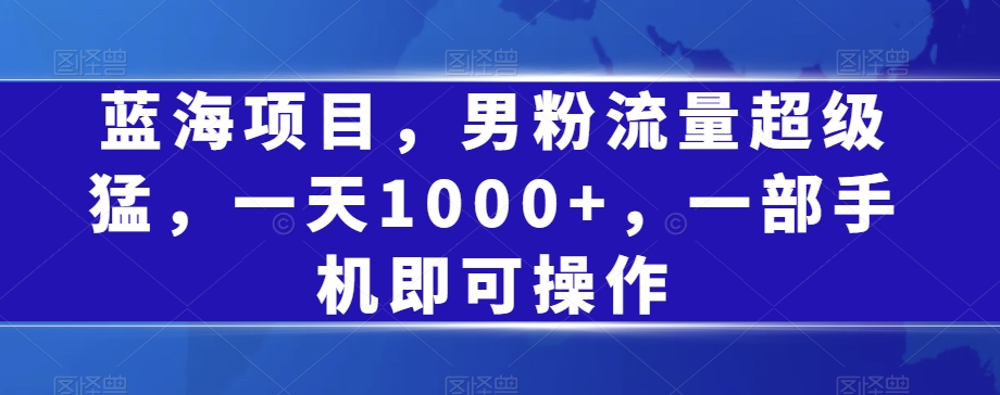 蓝海项目，男粉流量超级猛，一天1000+，一部手机即可操作【揭秘】-天天项目库