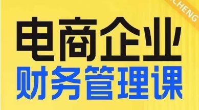 电商企业财务管理线上课，为电商企业规划财税-天天项目库