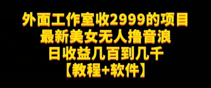 外面工作室收2999的项目最新美女无人撸音浪日收益几百到几千【教程+软件】（仅揭秘）-天天项目库