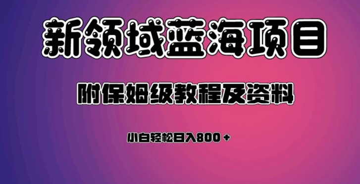 虚拟资源蓝海领域新项目，轻松日入800＋，附保姆级教程及资料-天天项目库