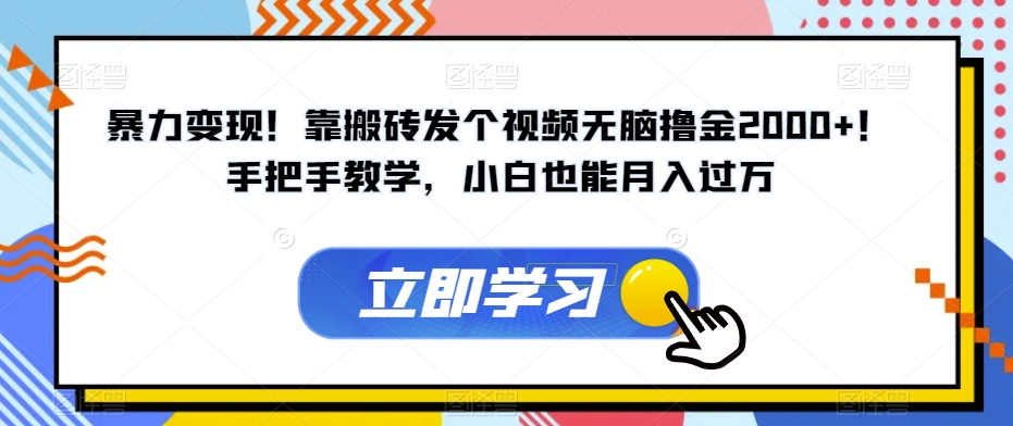 暴力变现！靠搬砖发个视频无脑撸金2000+！手把手教学，小白也能月入过万【揭秘】-天天项目库