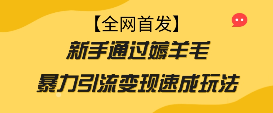 【全网首发】新手通过薅羊毛暴力引流变现速成玩法-天天项目库