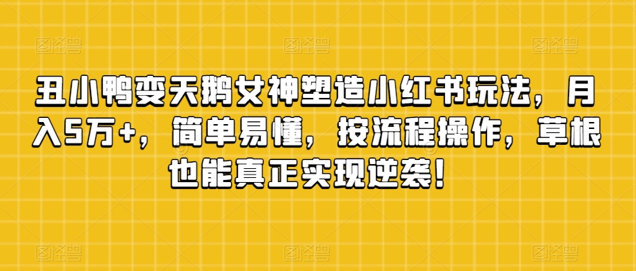 丑小鸭变天鹅女神塑造小红书玩法，月入5万+，简单易懂，按流程操作，草根也能真正实现逆袭！-天天项目库