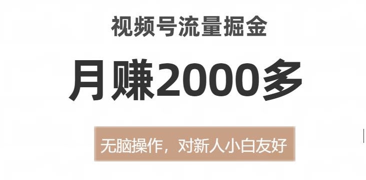 视频号流量掘金，无脑操作，对新人小白友好，月赚2000多【揭秘】-天天项目库