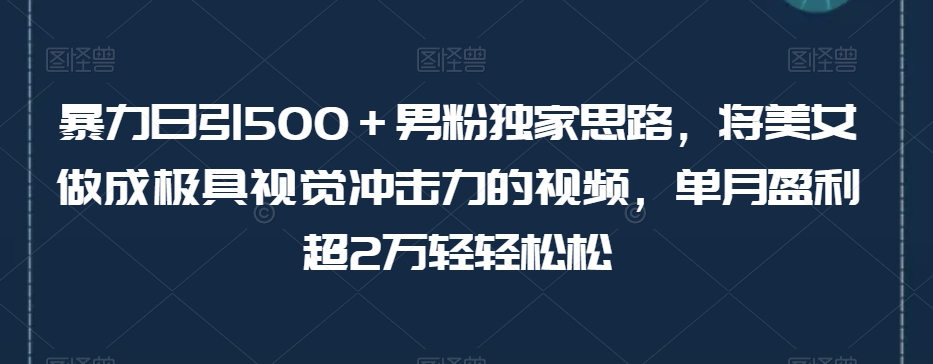 暴力日引500＋男粉独家思路，将美女做成极具视觉冲击力的视频，单月盈利超2万轻轻松松-天天项目库