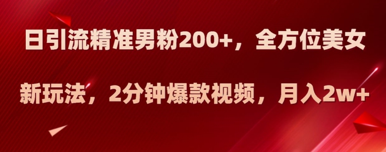 日引流精准男粉200+，全方位美女新玩法，2分钟爆款视频，月入2w+【揭秘】-天天项目库