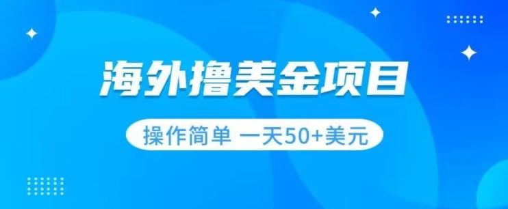 撸美金项目无门槛操作简单小白一天50+美刀-天天项目库