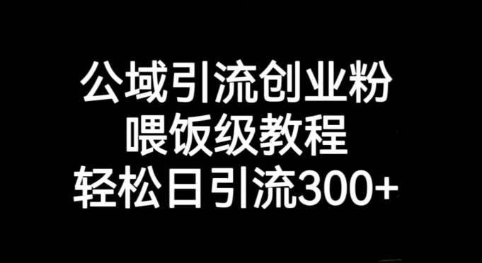 公域引流创业粉，喂饭级教程，轻松日引流300+【揭秘】-天天项目库