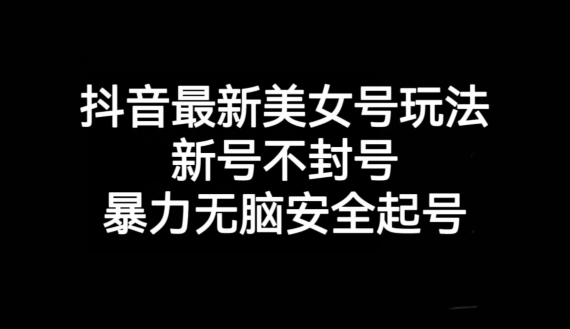 抖音最新美女号玩法，新号不封号，暴力无脑安全起号【揭秘】-天天项目库