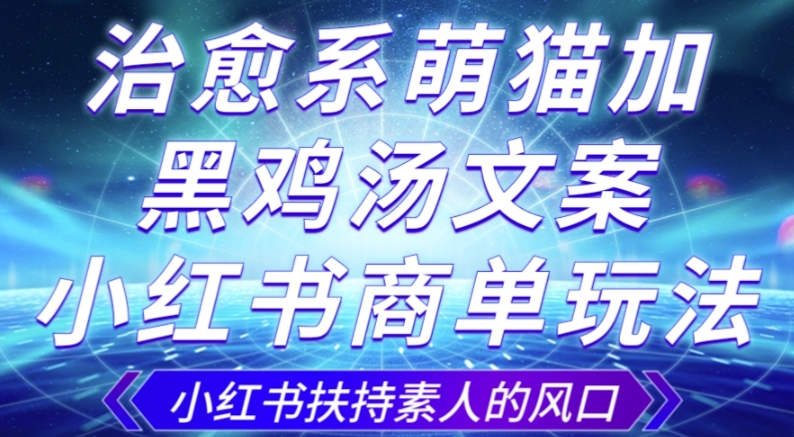 治愈系萌猫加+黑鸡汤文案，小红书商单玩法，3~10天涨到1000粉，一单200左右-天天项目库