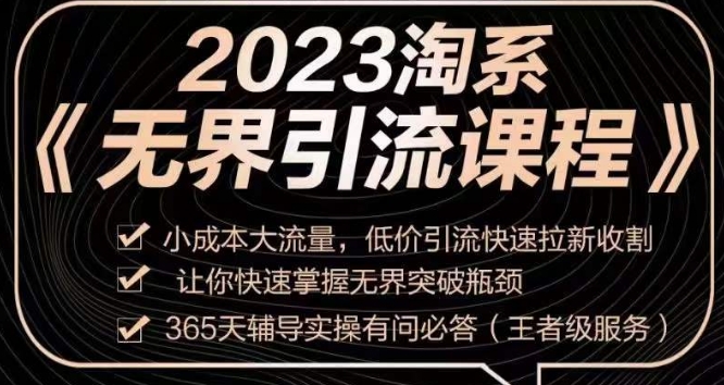 2023淘系无界引流实操课程，​小成本大流量，低价引流快速拉新收割，让你快速掌握无界突破瓶颈-天天项目库