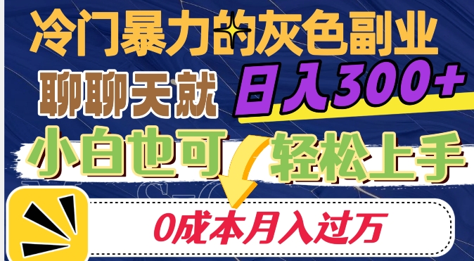 冷门暴利的副业项目，聊聊天就能日入300+，0成本月入过万【揭秘】-天天项目库