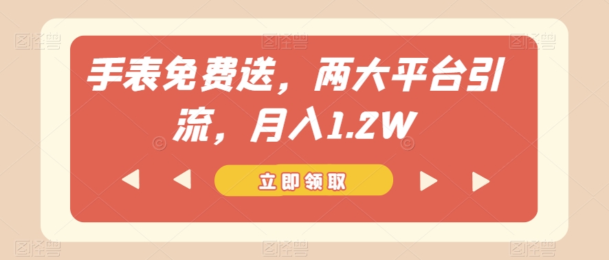 手表免费送，两大平台引流，月入1.2W【揭秘】-天天项目库