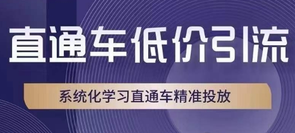 直通车低价引流课，系统化学习直通车精准投放-天天项目库