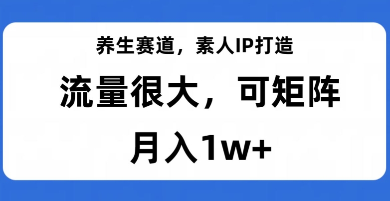 养生赛道，素人IP打造，流量很大，可矩阵，月入1w+【揭秘】-天天项目库