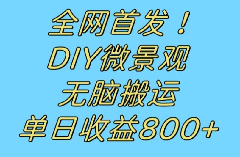 全网首发冷门赛道！DIY微景观，无脑搬运视频，日收益800+【揭秘】-天天项目库