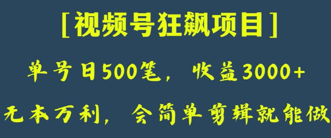 日收款500笔，纯利润3000+，视频号狂飙项目，会简单剪辑就能做【揭秘】-天天项目库