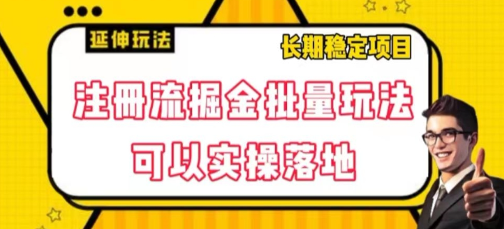 注册流掘金批量玩法，可以实操落地【揭秘】-天天项目库