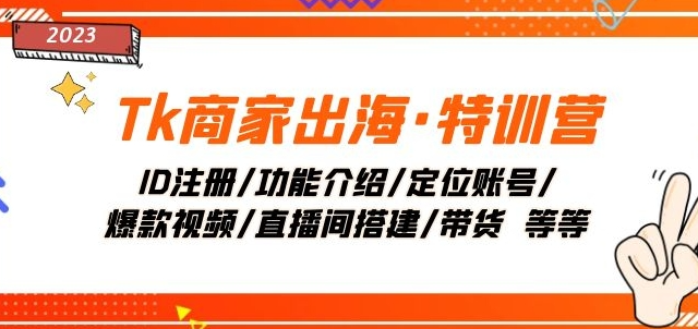 Tk商家出海·特训营：ID注册/功能介绍/定位账号/爆款视频/直播间搭建/带货-天天项目库