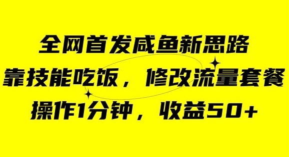 咸鱼冷门新玩法，靠“技能吃饭”，修改流量套餐，操作1分钟，收益50【揭秘】-天天项目库