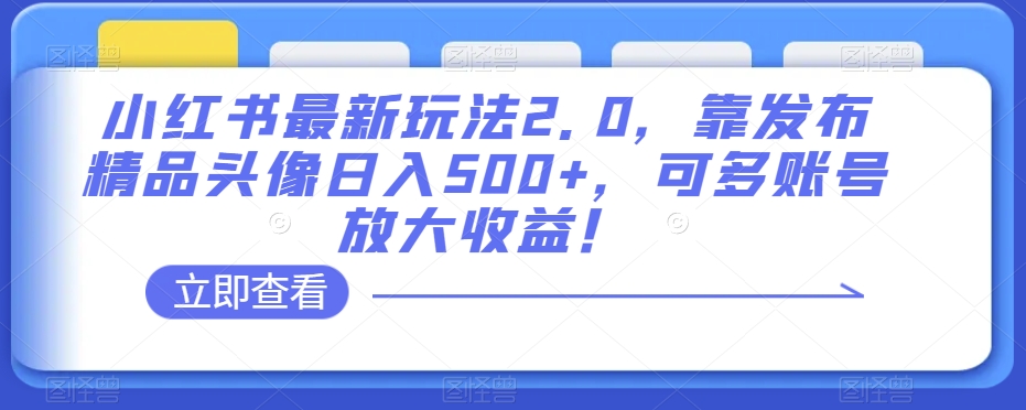 小红书最新玩法2.0，靠发布精品头像日入500+，可多账号放大收益！【揭秘】-天天项目库