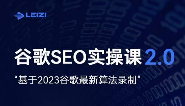 雷子·谷歌SEO 2.0实战课，独立站询盘自由必备，基于2023谷歌最新算法录制-天天项目库