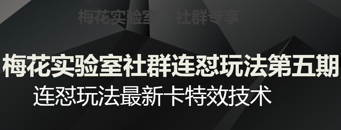 梅花实验室社群连怼玩法第五期，视频号连怼玩法最新卡特效技术-天天项目库