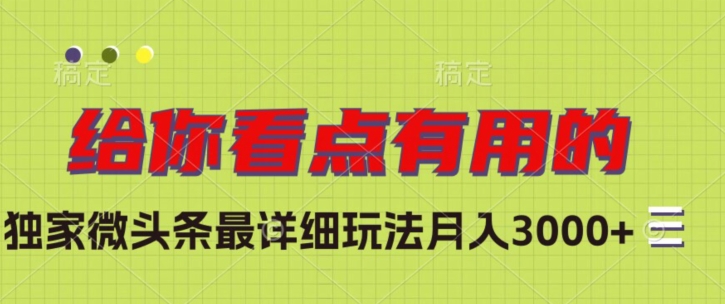 独家微头条最详细玩法，月入3000+【揭秘】-天天项目库