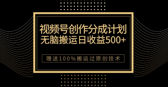 最新视频号创作分成计划，无脑搬运一天收益500+，100%搬运过原创技巧【揭秘】-天天项目库