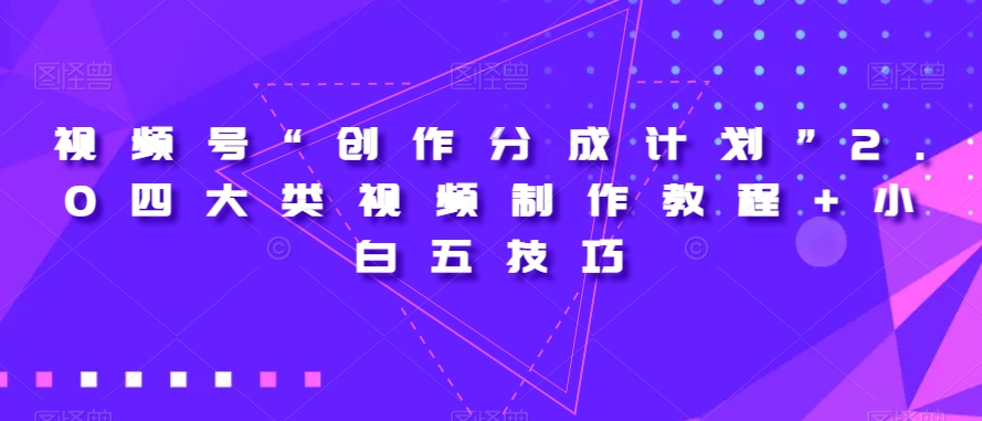 视频号“创作分成计划”2.0四大类视频制作教程+小白五技巧【揭秘】-天天项目库