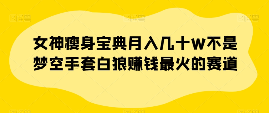 女神瘦身宝典月入几十W不是梦空手套白狼赚钱最火的赛道【揭秘】-天天项目库